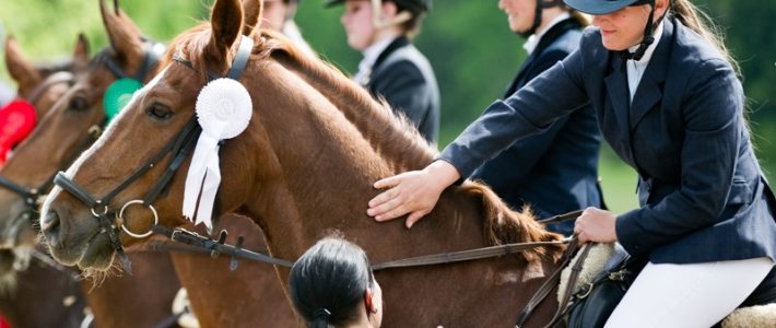 Bohuscupen för häst – Söndag den 19 maj