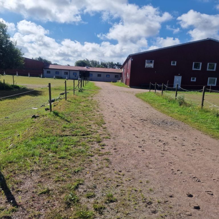 Morgonfodring, utsläpp, lunch, middag och kvällsfodring