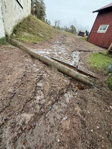 LYRF_Efter regn_1