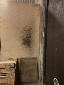 LYRF_Svartmogel_stall_2